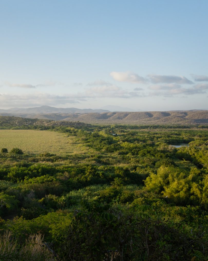 Environmental Education